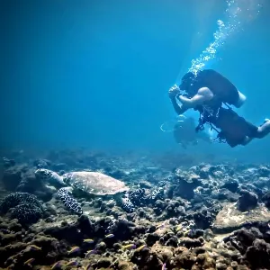 Otilio Nunez diving with a sea turtle